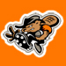 Bean Station Beavers